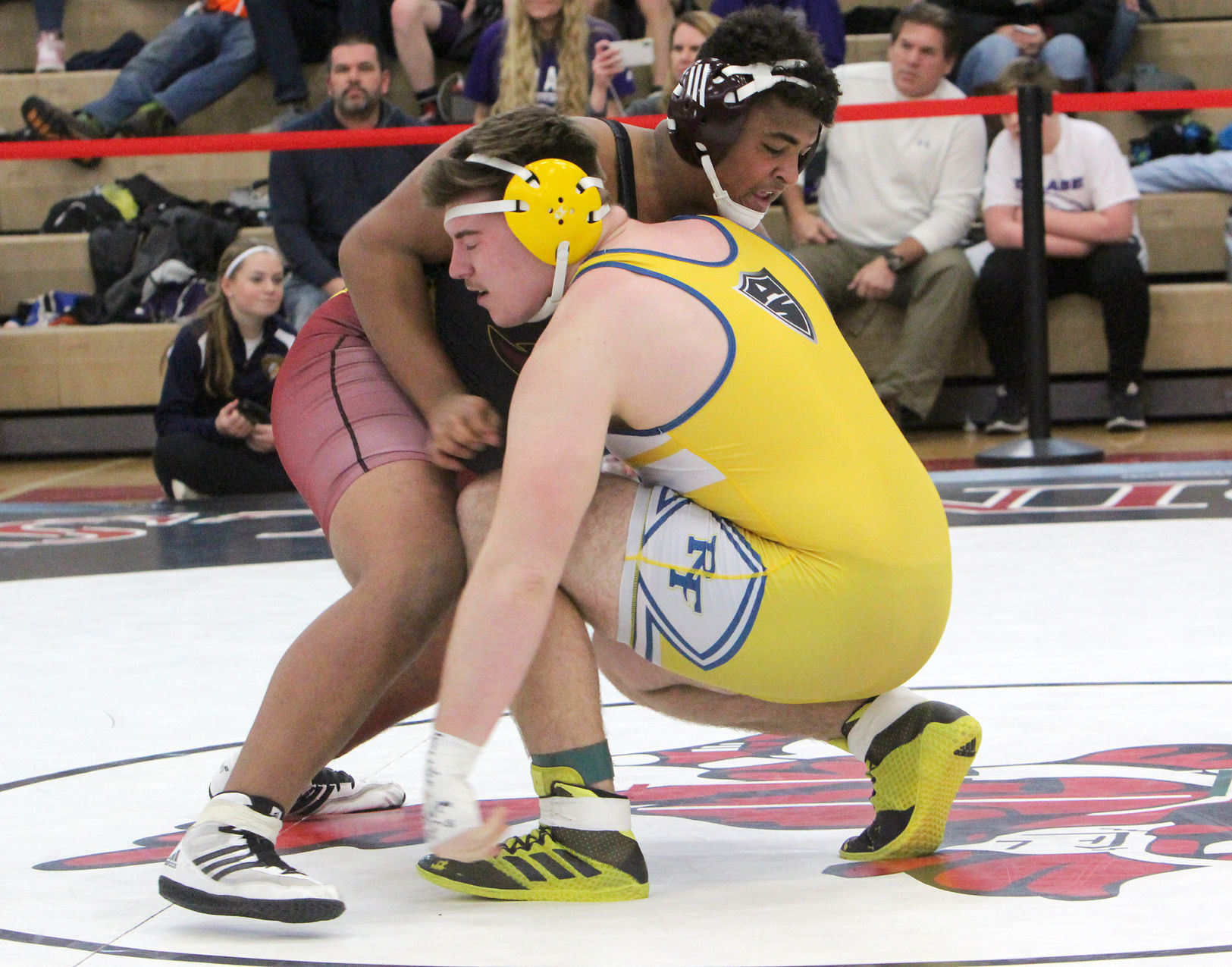 Division 1 wrestling regional at Chippewa Falls 2-9-19